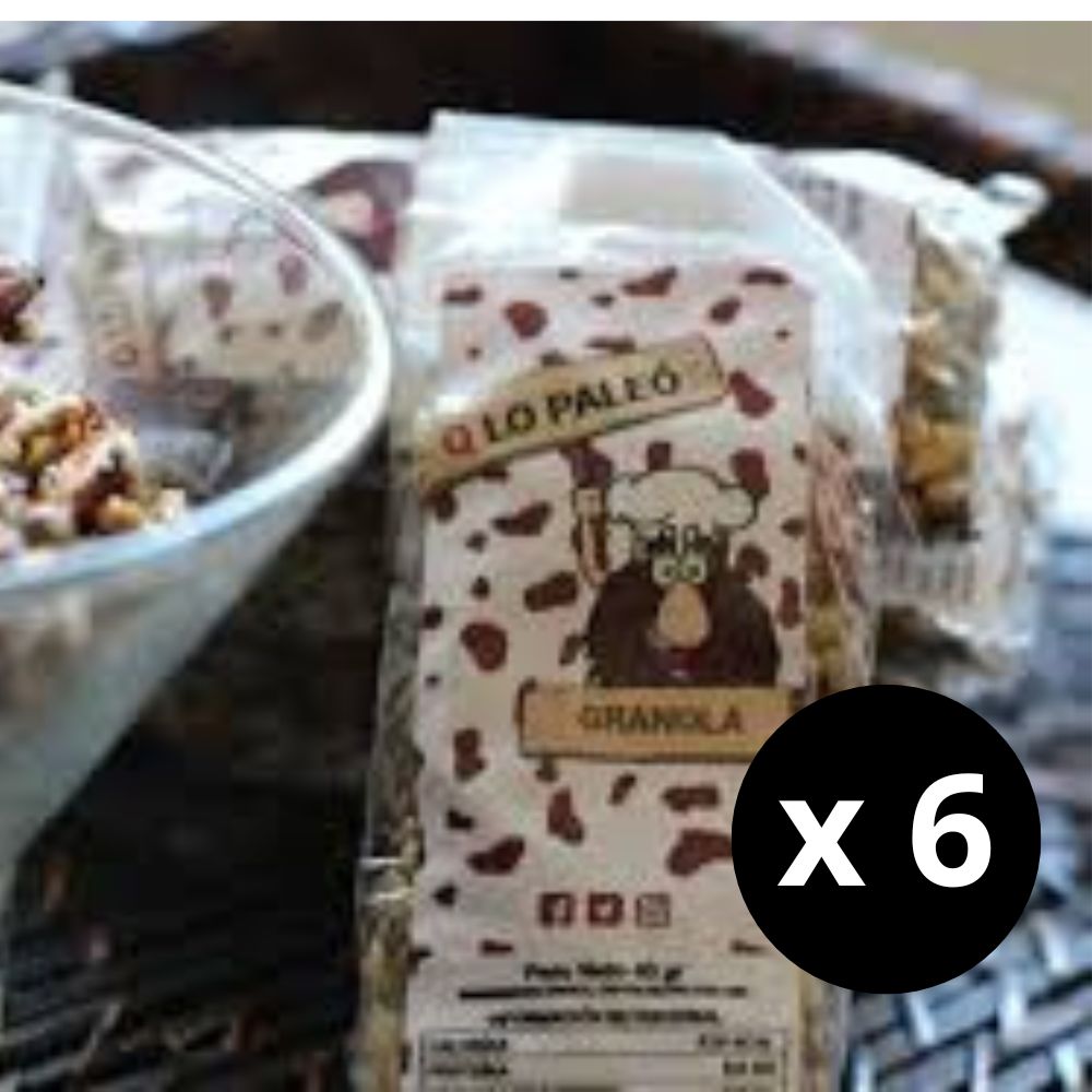 QUE LO PALEO (Granola/Fruto/Semil) (x6)