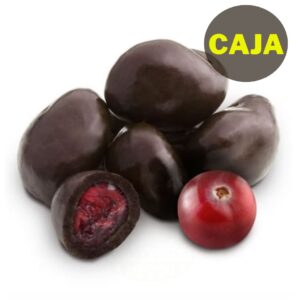 ARANDANOS C/CHOCO (Arg) (6kg)