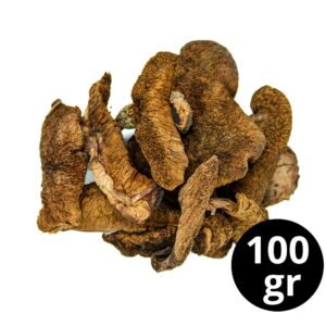 HONGOS DE PINO  (100gr)