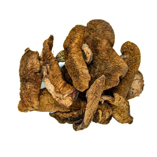 HONGOS DE PINO  (1kg)
