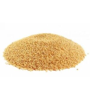 SEMILLA AMARANTO (1kg)