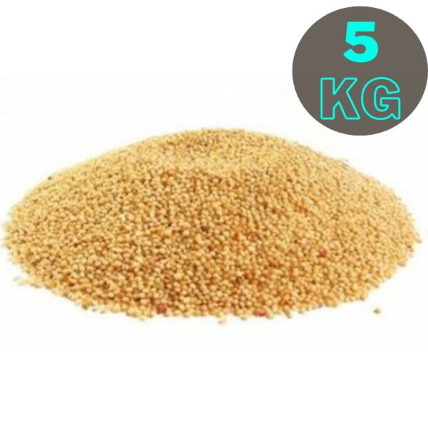 SEMILLA AMARANTO (5kg)