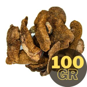 HONGOS DE PINO  (100gr)