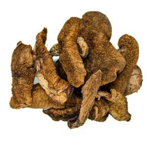 HONGOS DE PINO  (1kg)