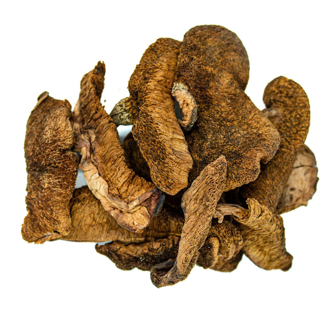 HONGOS DE PINO  (1kg)